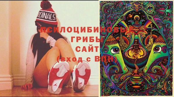 ешки Краснотурьинск