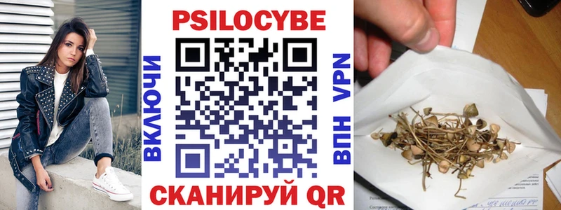 Купить закладки  Городец  Галлюциногенные грибы Cubensis 